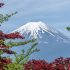 高尾山紅葉狩りイベント